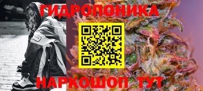 ECSTASY Будённовск