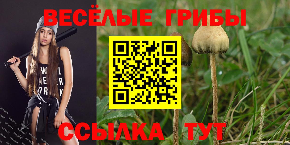 Псилоцибиновые грибы MAGIC MUSHROOMS Шумерля